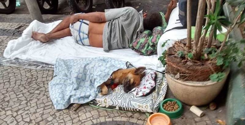 Pessoa em situao de rua e seu cachorro no Rio de Janeiro